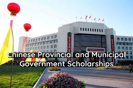 A Guide to Chinese Provincial and Municipal Government Scholarships 2024-25